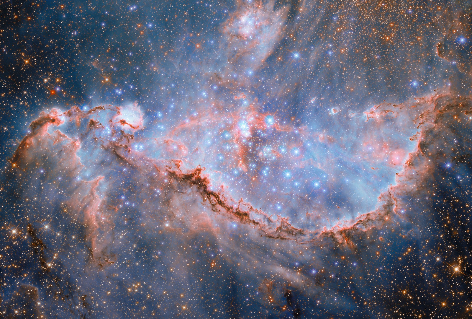 Dozens of bright blue stars are seen among a cloud-like ribbon of gas and dust in a distant nebula.