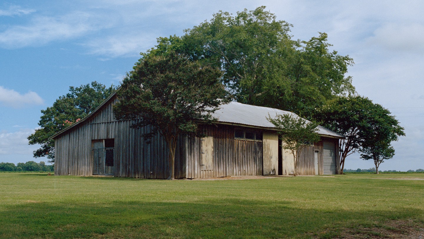 A weathered barn near Drew, Mississippi, surrounded by trees and green grass