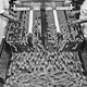 Fish sticks on a production line