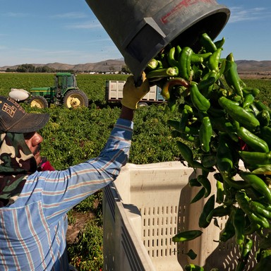 The Sriracha Shortage Is a Very Bad Sign - The Atlantic