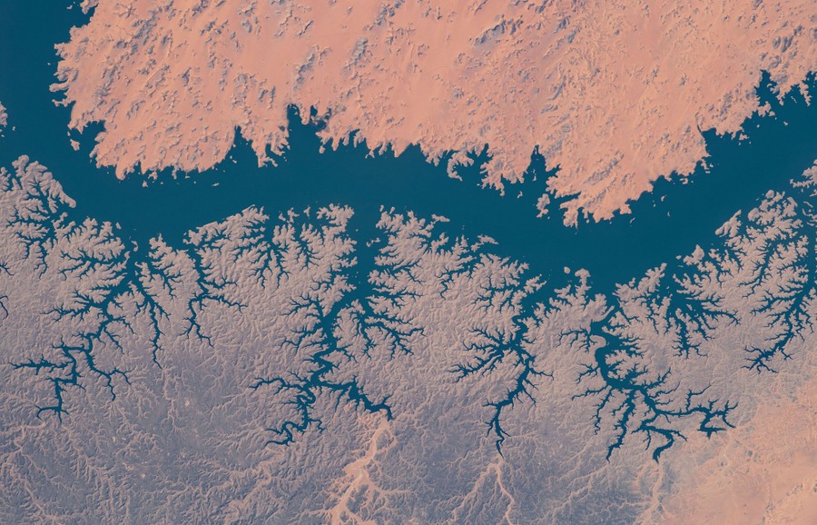 A reservoir is seen filling many small valleys, making an outline that looks like tree roots.