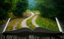 a forest path coming out of an open book