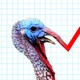 An illustration of a turkey and a line graph pointing upwards