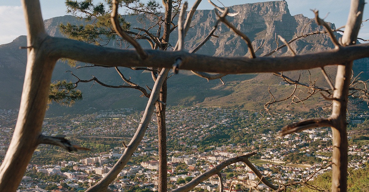 Cape Town's Literary Legacy After J.M. Coetzee's Departure