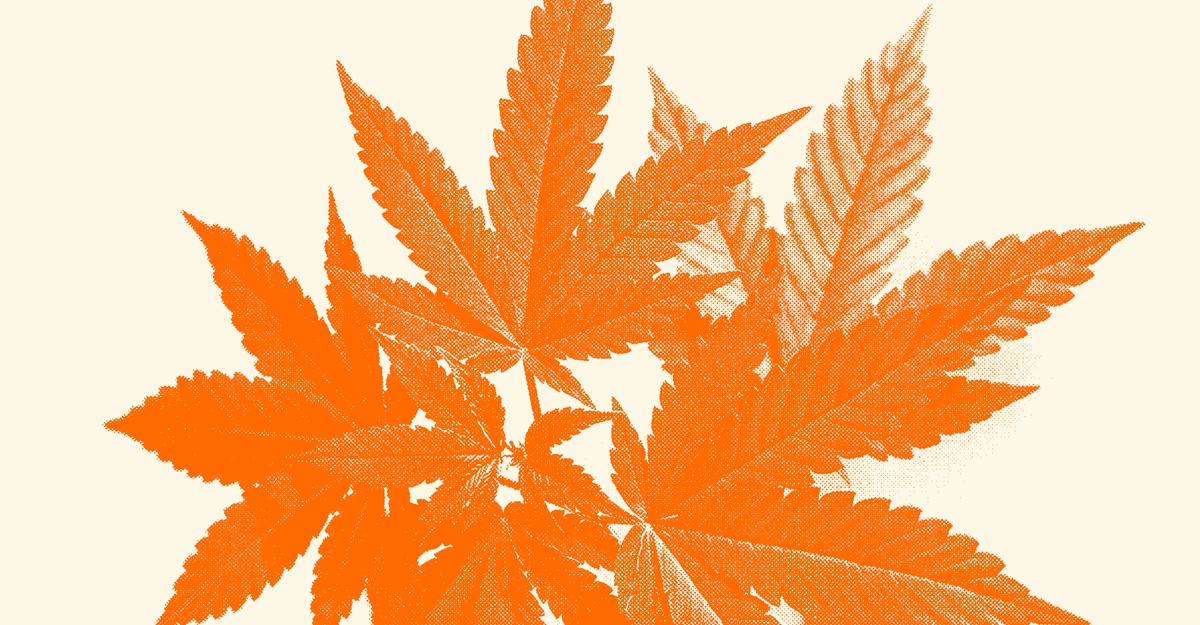 Young Women Surpass Men in Cannabis Use