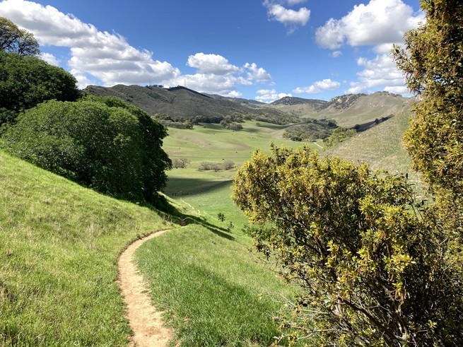 Sunny chaparral hills beneath a brilliant-blue sky 