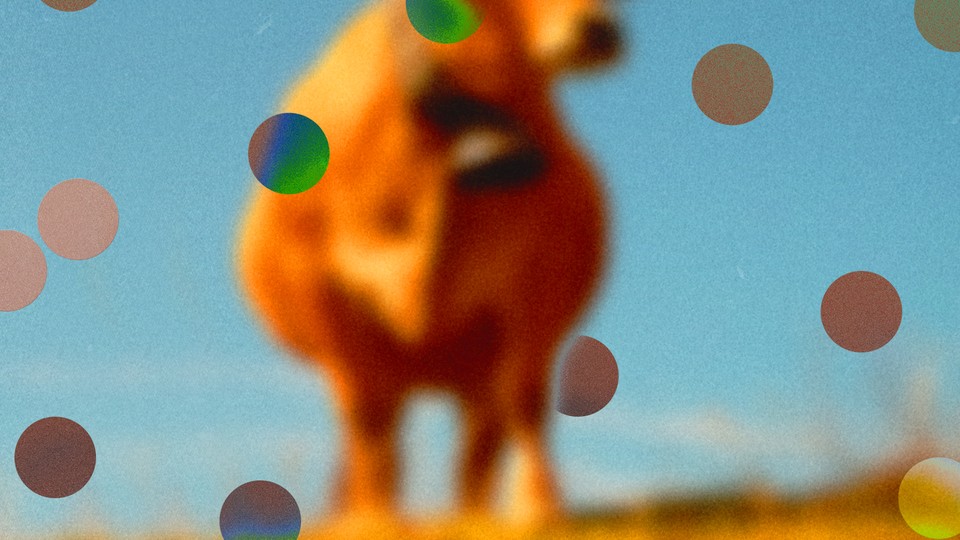 abstract illustration of cow with dots