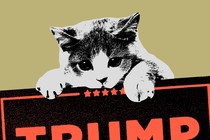 Graphic illustration of a cat hanging onto a Trump sign