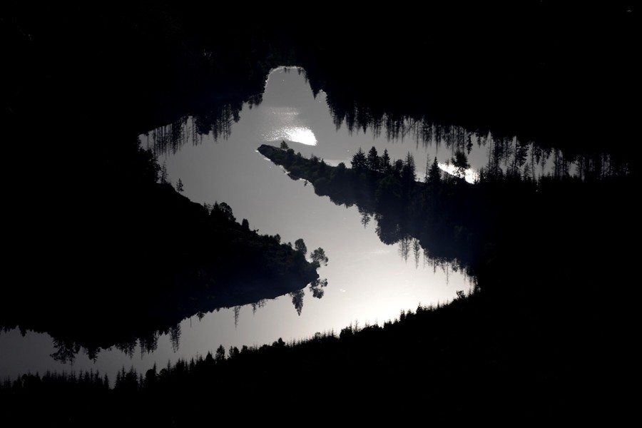 A sunrise view of a body of water among trees