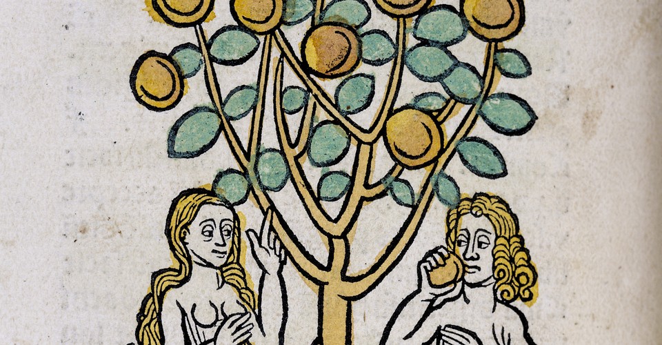 Purity Through Food How Religious Ideas Sell Diets The Atlantic
