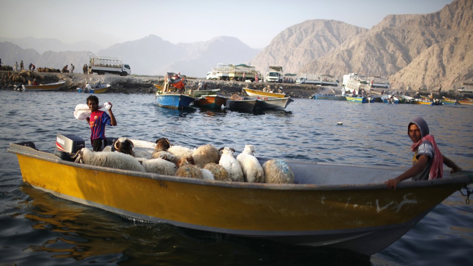 Iranian smugglers sit on a boat with their goods—sheep—as they navigate the Strait of Hormuz near Oman.