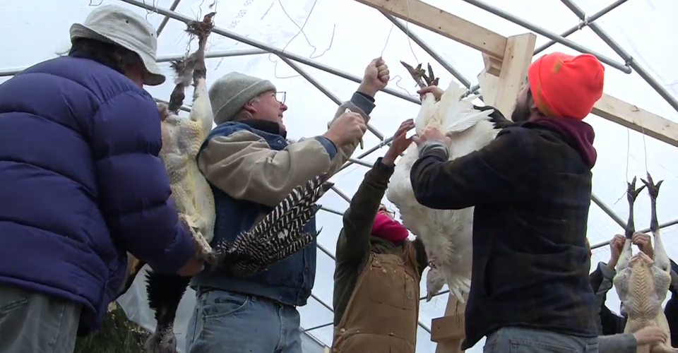 How to Kill Your Own Turkey, and Why You Should Try It The Atlantic