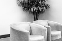 A black-and-white photo of a room with blank walls, two armchairs, and a potted plant