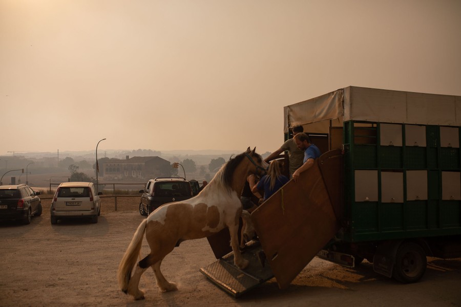 People guide a horse up a ramp into a trailer under a smoky sky.