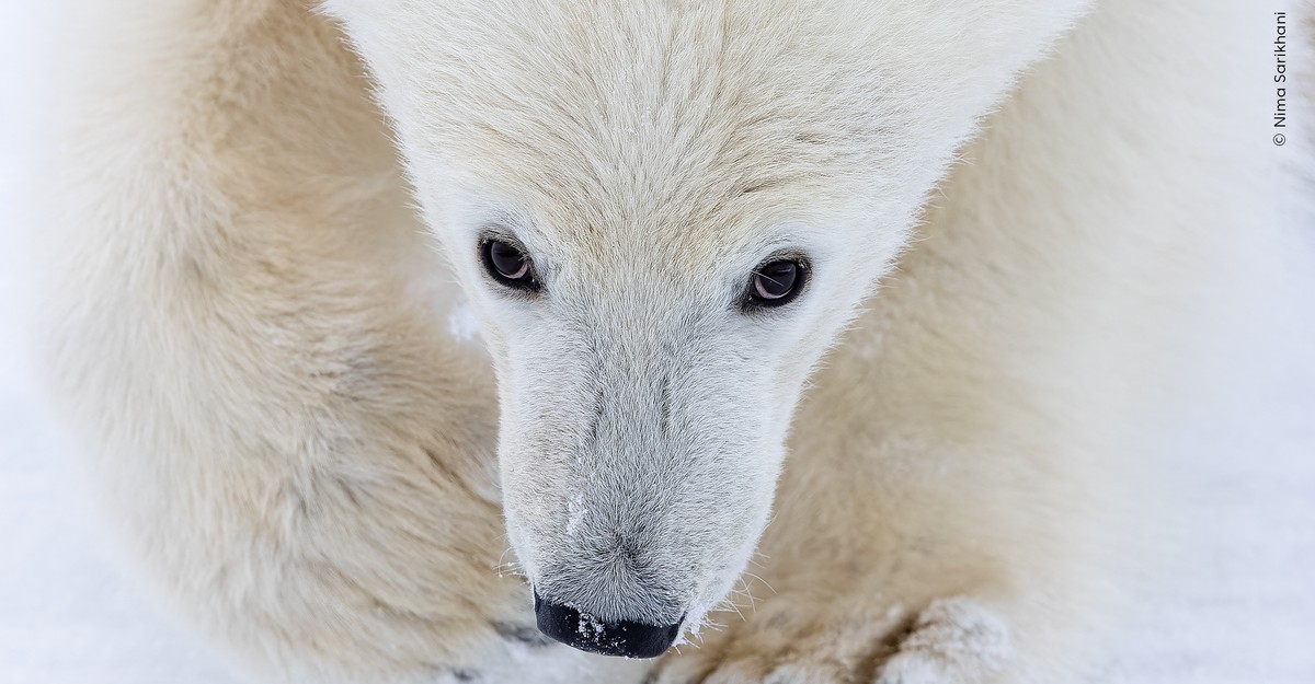 cdn.theatlantic.com image