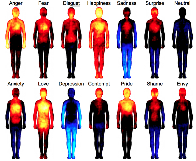 Mapping How Emotions Manifest In The Body The Atlantic