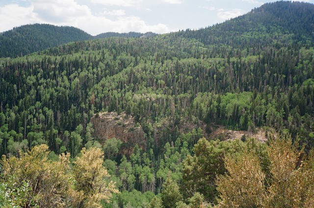 A forest and hills