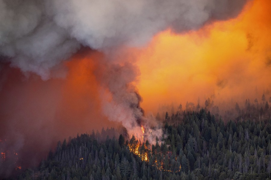 An elevated view of a forest fire