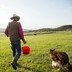 A cowboy walks with his dog to catch horses near Ignacio, Colorado.