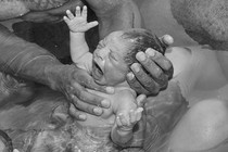 A newborn baby being held up in water