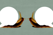 Snails talking