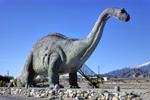 A large model of a brontosaurus stands near a road.