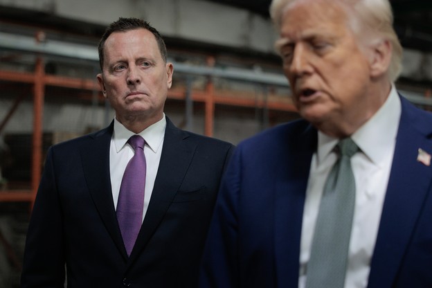 A photo of Ric Grenell and Donald Trump