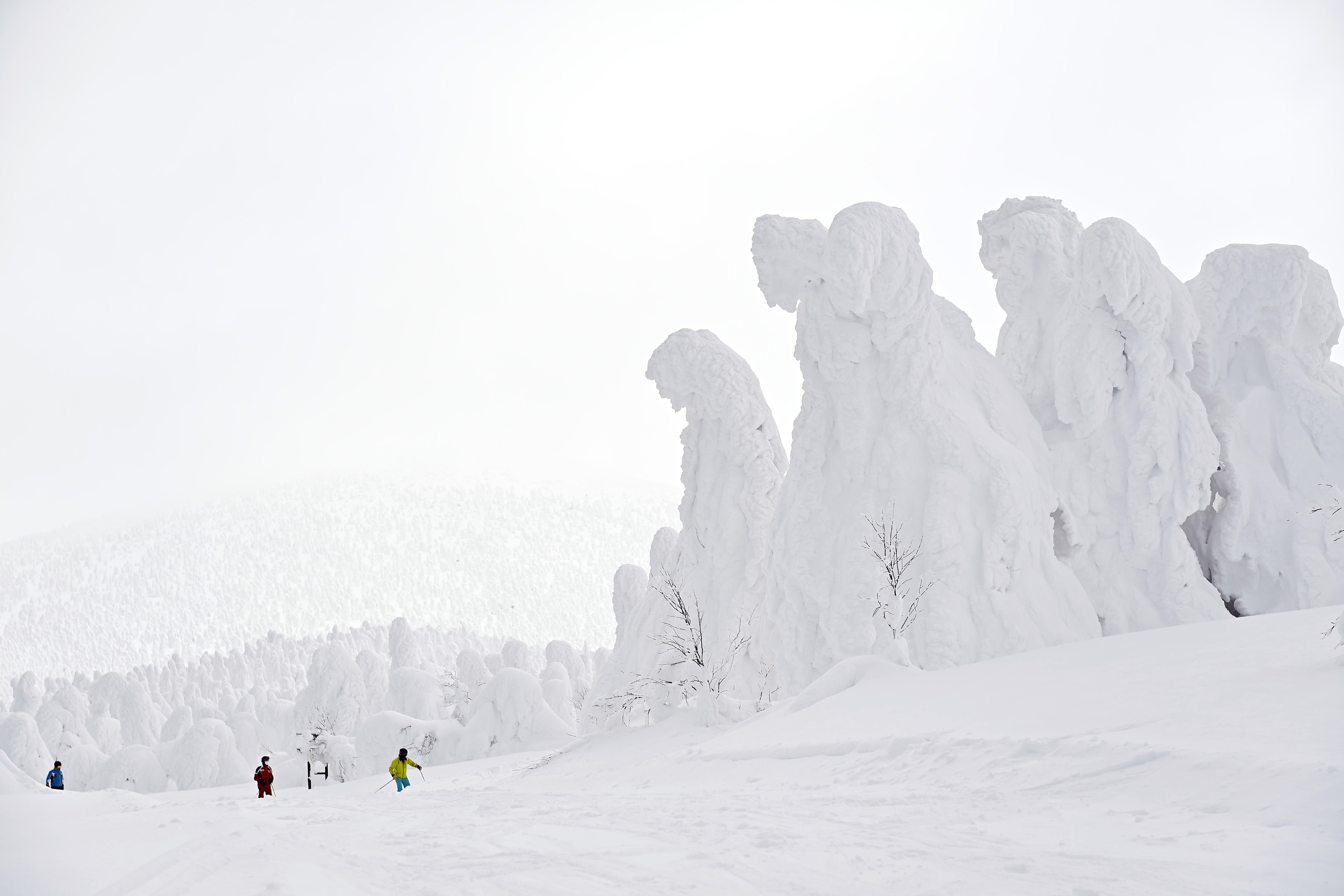 People walk near trees covered in thick snow and ice.