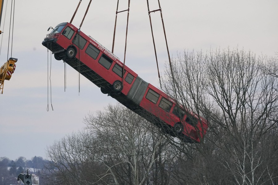 A large articulated bus is lifted into the sky by a crane, past trees in a park.