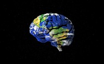 Earth, shaped as a brain