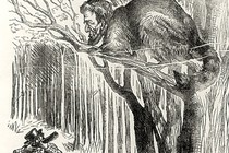 Lincoln as a frightened raccoon, <i>Punch</i>, January 11, 1862