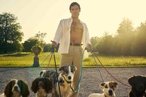 A man in an unbuttoned shirt stands holding the leashes of six dogs. He seems to be smirking at the camera.