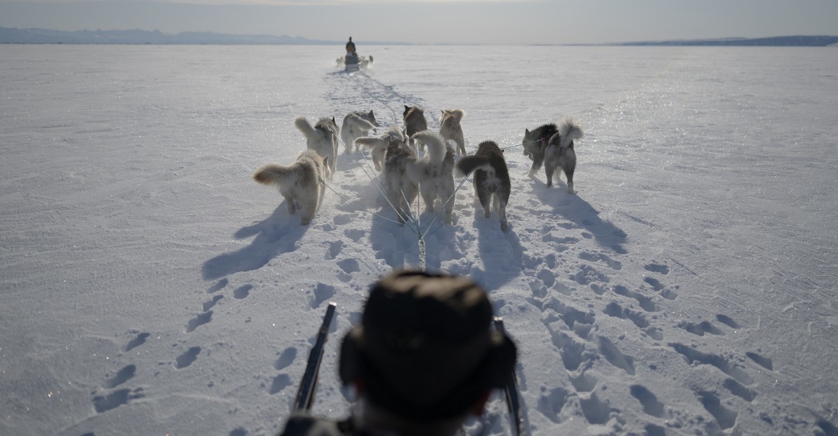 Greenlanders Are Ready to Fight