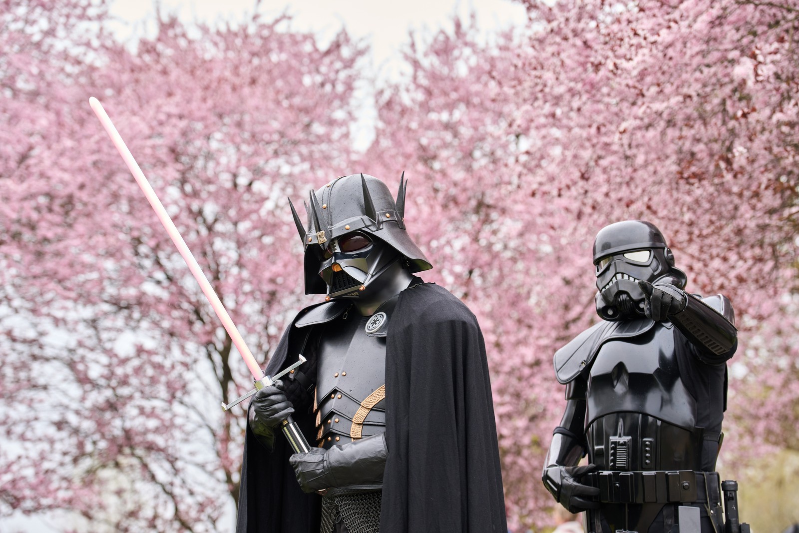 Two people wearing Star Wars–themed costumes walk beside blooming cherry trees.