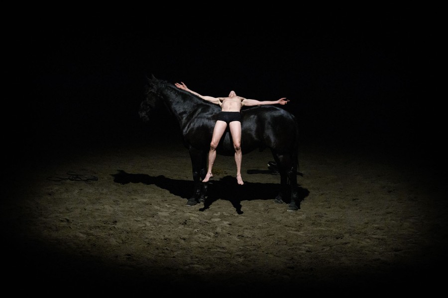 A performer lies stretched out across the back of a horse.