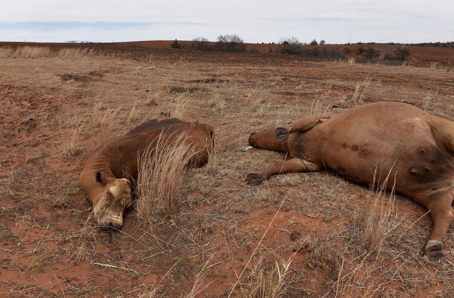 The Megafire Burning in Oklahoma The Atlantic