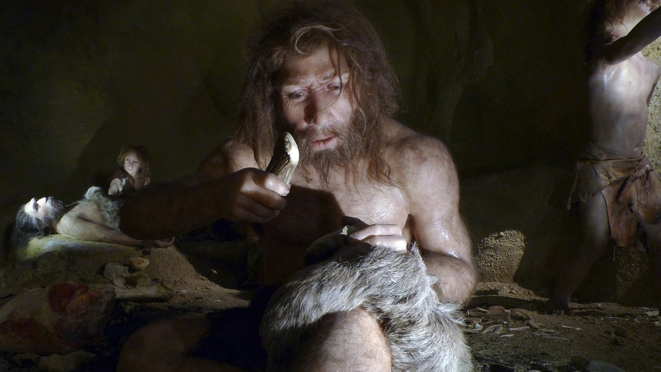 A museum exhibit shows a right-handed Neanderthal man working with a tool.