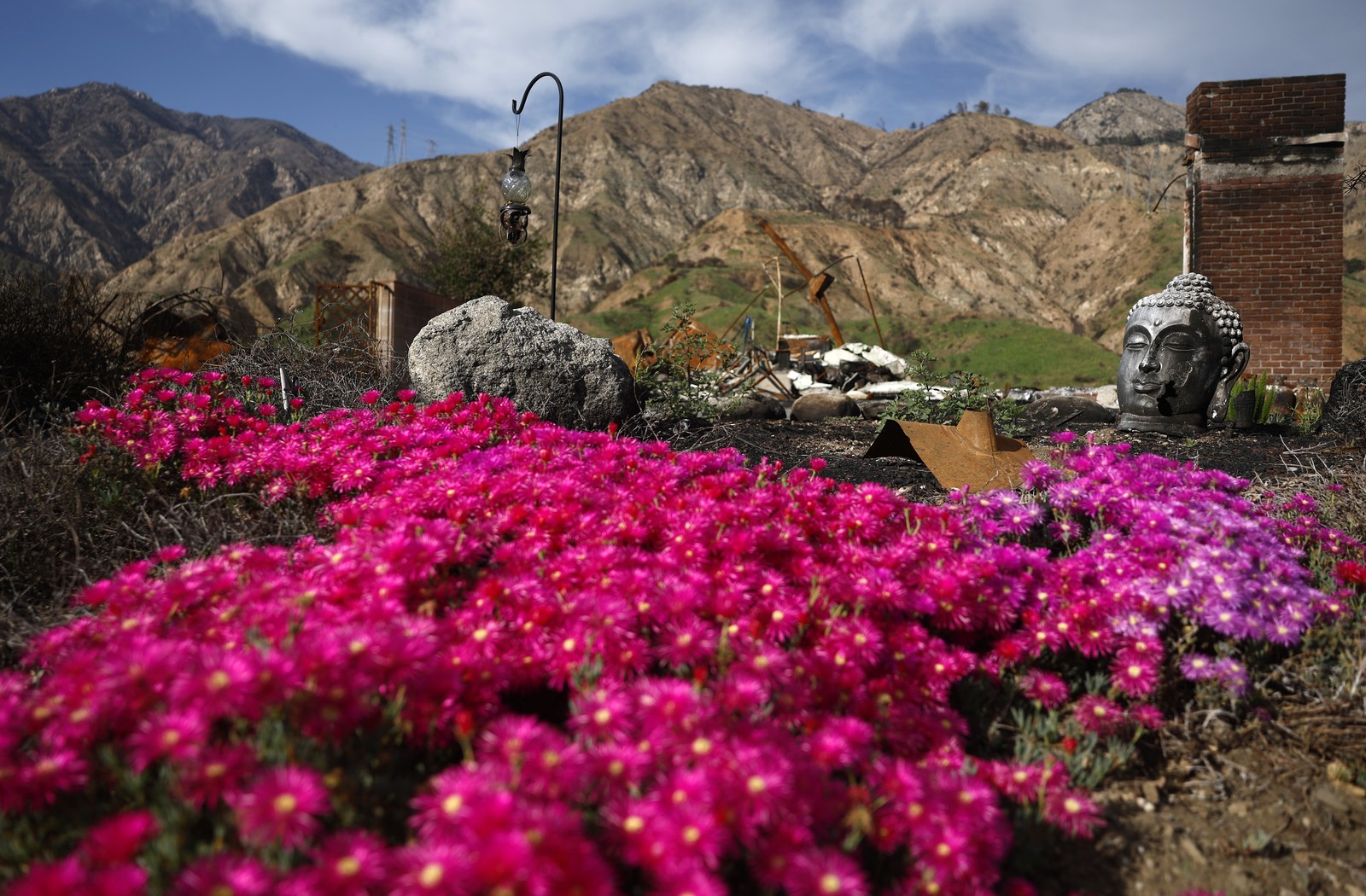 Flowers bloom outside the remains of a house that was destroyed in a fire.