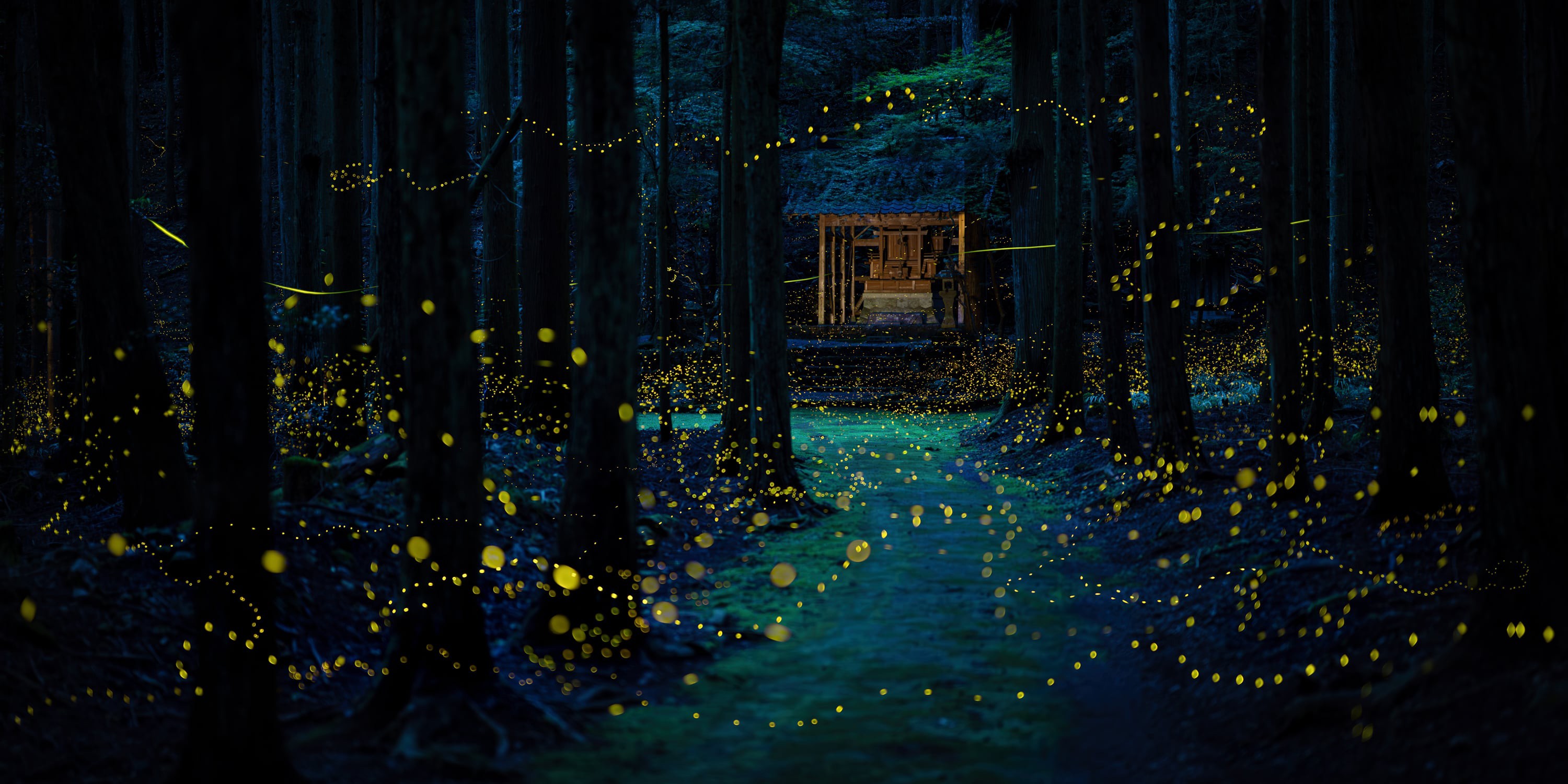 A long-exposure image of fireflies dotting the forest near a small Japanese shrine