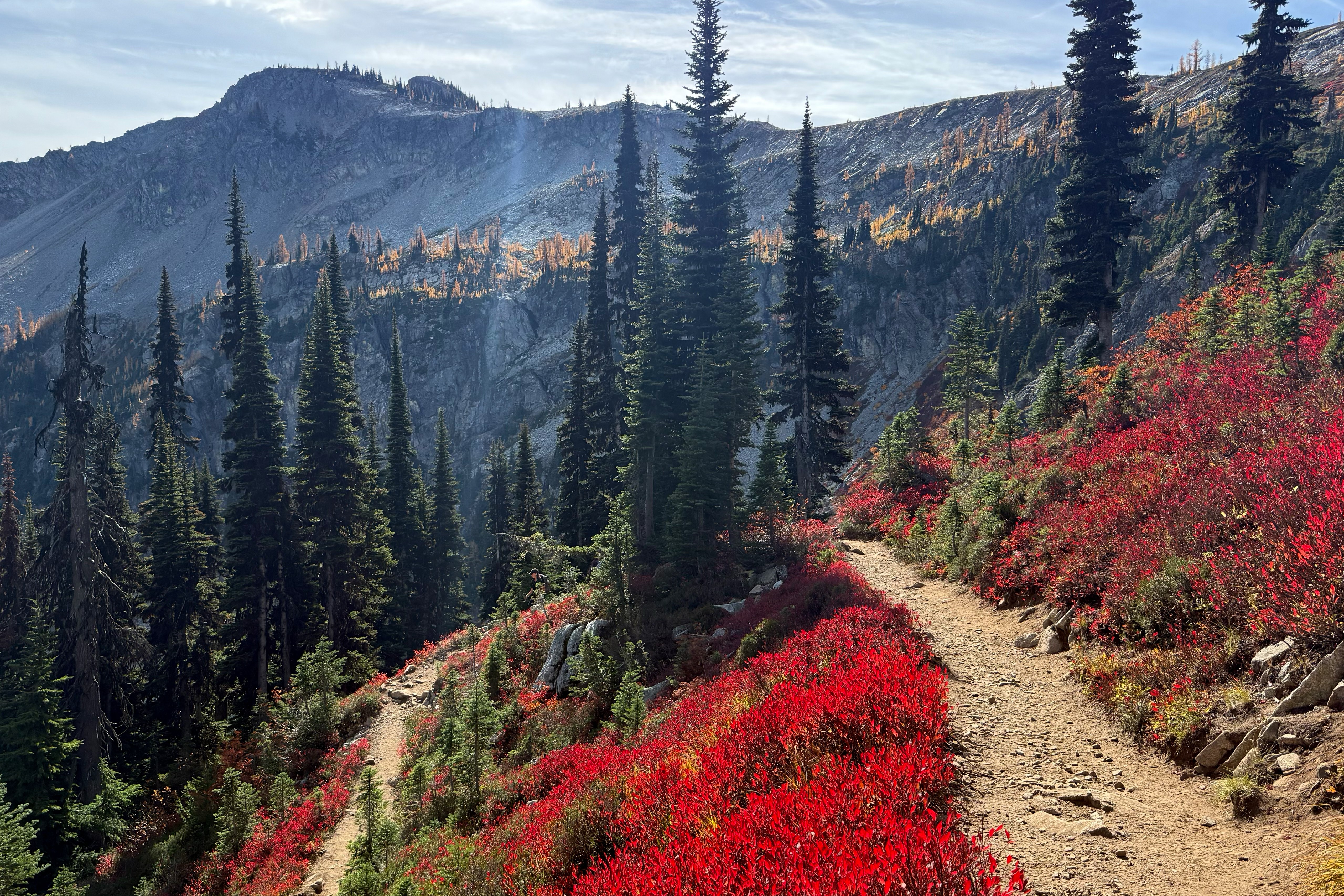 Fall colors appear among low shrubs along a mountain path.