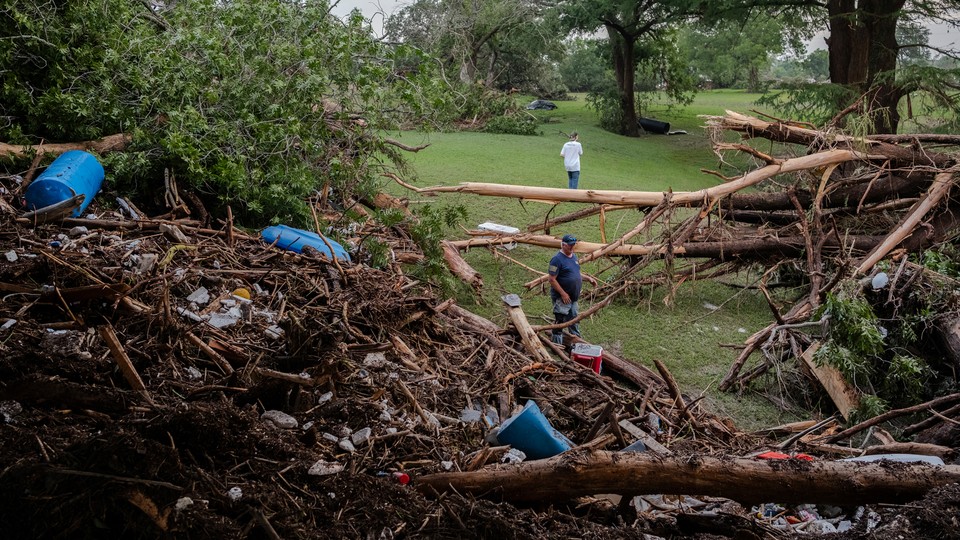 Trees collapsed on a hillside in the aftermath of the central Texas floods