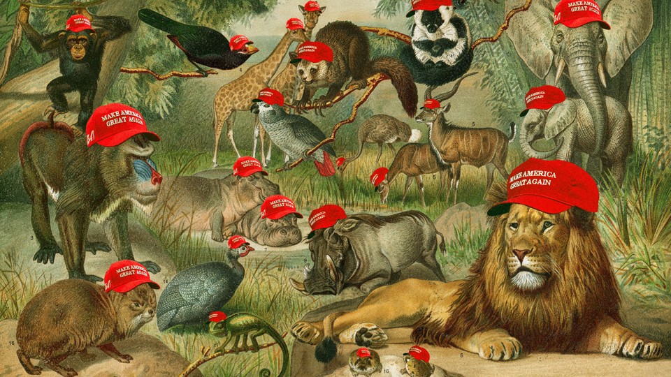 zoo animals wearing maga hats
