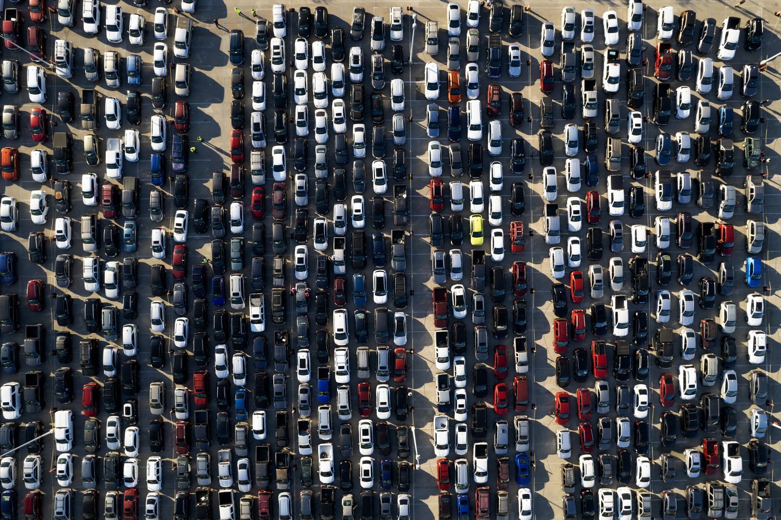 An aerial view of dozens of cars lined up, waiting for supplies from a food bank.
