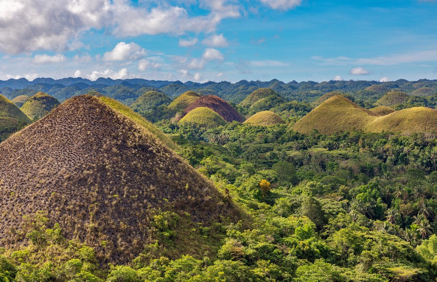 Photos of the Week: Newborns, Chocolate Hills, Teacher of the Year ...