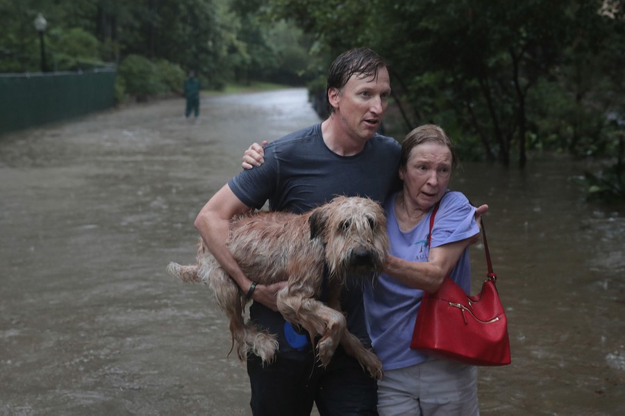 Photos: Pet Rescues In Harvey's Wake - The Atlantic