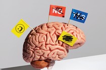 Illustration of a brain with flags in it