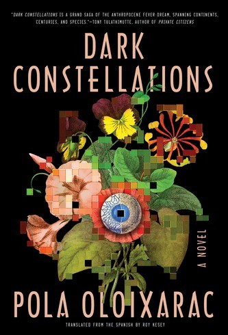 the cover of Pola Oloixarac’s novel "Dark Constellations"