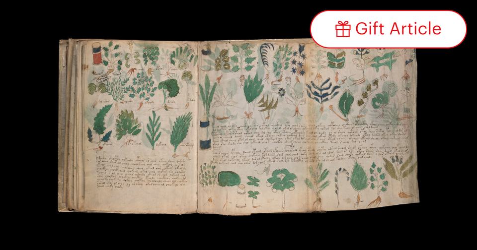 Will the Mystery of the Voynich Manuscript Ever Be Solved? - The