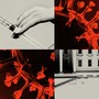 A collage of a syringe, the virus, and the White House