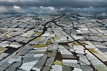 An aerial photo of greenhouses in Almería, Spain